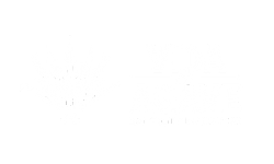 Vida Agave