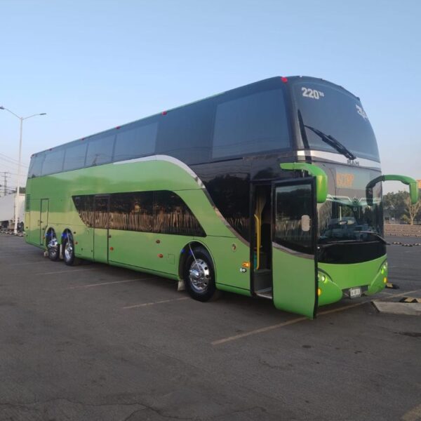 Bus Labrador