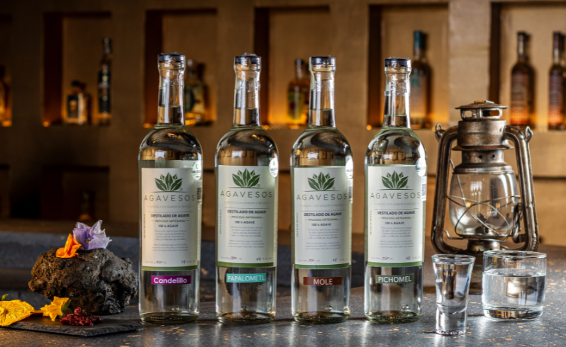 Vida Agave
