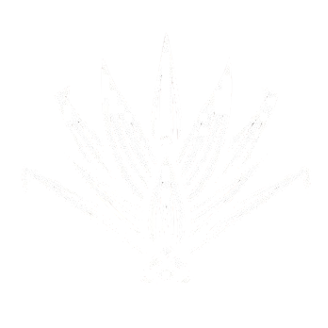 loader image